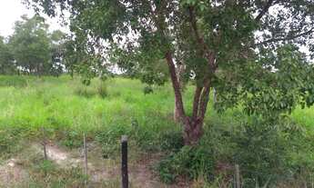 Imagem 3: Fazenda com 200 hectares em Nossa Senhora do Livramento/MT