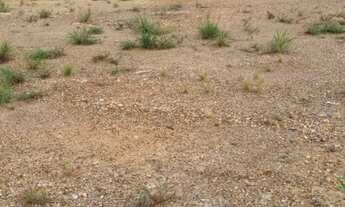 Imagem 3: Terreno no bairro Morada do Ouro