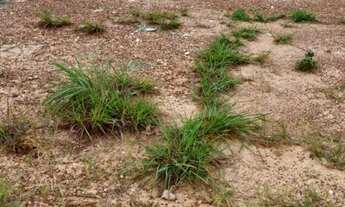 Imagem 4: Terreno no bairro Morada do Ouro
