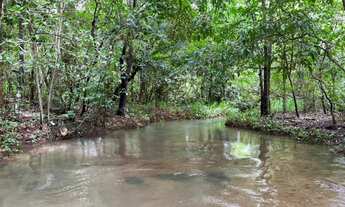 Imagem 2: Fazenda com 750 hectares à 120 Km de Cuiabá sentido Cáceres-MT