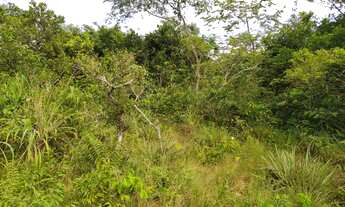 Imagem 3: Fazenda com 336 hectares em Chapada dos Guimarães/MT