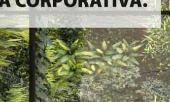 Imagem 3: EXCELENTE EMPREEDIMENTO, 20M² de Área Construída