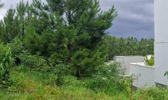 Imagem 3: TERRENO PARA LOCAÇÃO - BAIRRO SÃO JACÓ