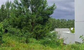 Imagem 4: TERRENO PARA LOCAÇÃO - BAIRRO SÃO JACÓ