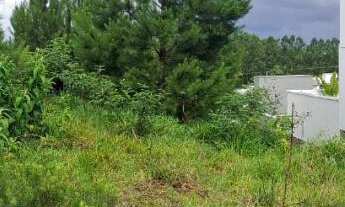 Imagem 5: TERRENO PARA LOCAÇÃO - BAIRRO SÃO JACÓ