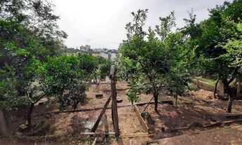 Imagem 7: Casa de alvenaria de dois dormitórios em ótimo terreno No Bairro Vila Nova