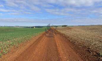 Imagem 3: Imóvel rural em Ourizona: confira essa oferta especial!