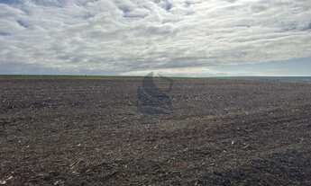 Imagem 4: Imóvel rural em Ourizona: confira essa oferta especial!