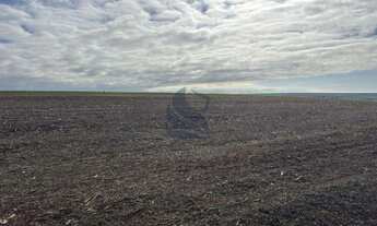 Imagem 6: Imóvel rural em Ourizona: confira essa oferta especial!