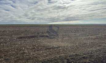 Imagem 7: Imóvel rural em Ourizona: confira essa oferta especial!