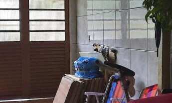 Imagem 5: CASA EM ALVENARIA