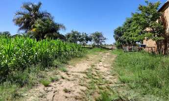 Imagem: Galpão Industrial, 1M² de Área Total