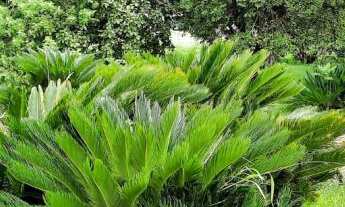 Imagem 5: 2 Dormitórios no Colina Verde