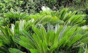 Imagem 6: 2 Dormitórios no Colina Verde