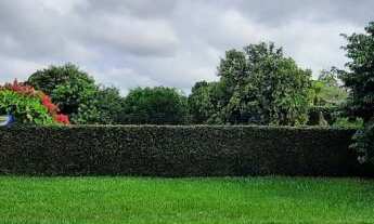 Imagem 7: 2 Dormitórios no Colina Verde