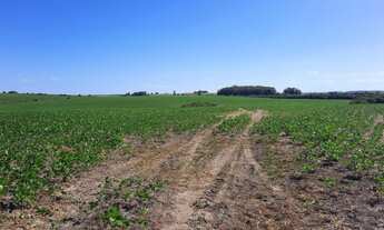 Imagem: Terras para soja