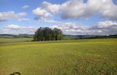 Imagem 3: Excelente área, 137M² de Área Total