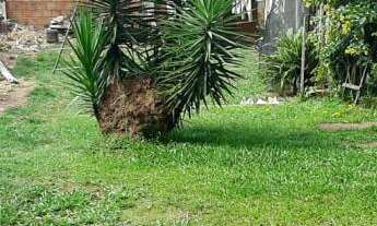 Imagem 4: Terreno, 20M² de Área Total