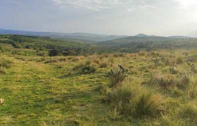 Imagem 7: 160 HÁ PREÇO DE OCASIÃO
