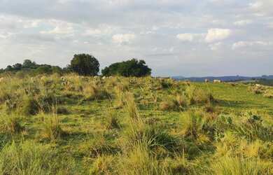 Imagem 5: 160 HÁ PREÇO DE OCASIÃO