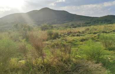 Imagem 3: 160 HÁ PREÇO DE OCASIÃO