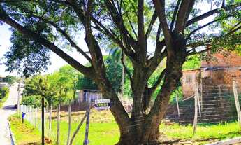 Imagem 6: TERRENO BEM LOCALIZADO