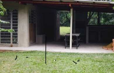 Imagem 2: Casa com 1 Dormitorio(s) localizado(a) no bairro Ferreira em Cachoeira do Sul / Rio Grand