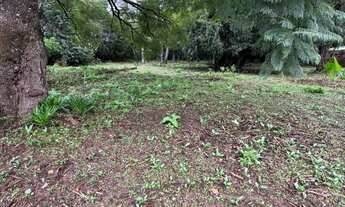 Imagem 2: Terreno com 4 Dormitorio(s) localizado(a) no bairro Barcelos em Cachoeira do Sul / Rio Gr