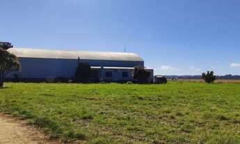 Imagem 7: Á VENDA 477 há lavoura de arroz