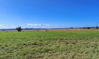 Imagem 3: Á VENDA 477 há lavoura de arroz