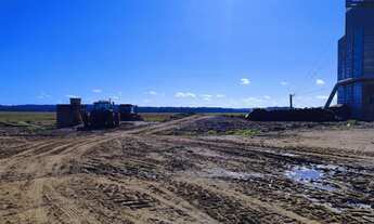 Imagem 4: Á VENDA 477 há lavoura de arroz