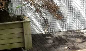 Imagem 4: Apartamento 2 Dormitórios em Navegantes