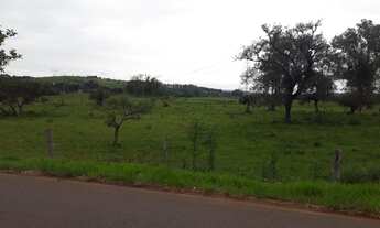Imagem 5: ATENÇÃO! AREA DE TERRAS DE 11 HECTARES EM SANTA MARIA (NOVO HAMBURGO