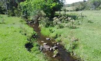 Imagem 7: ATENCAO INVESTIDORES - AREA DE TERRAS EM SAPIRANGA BEM LOCALIZADA