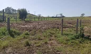 Imagem: Vende- se Área de Terras em Porto Palmeira