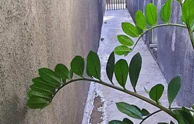 Imagem 2: Casa com 3 Dormitorio(s) localizado(a) no bairro em Bauru / SÃO PAULO Ref.:118