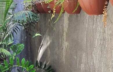 Imagem 3: Casa com 3 Dormitorio(s) localizado(a) no bairro em Bauru / SÃO PAULO Ref.:118