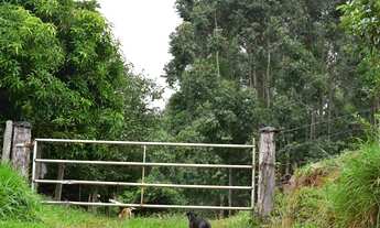 Imagem 3: Área de Terra com 2 Dormitorio(s) localizado(a) no bairro em Capela de Santana / Rio Gra