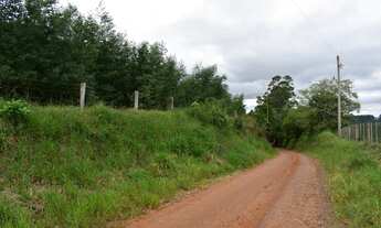 Imagem 2: Área de Terra com 2 Dormitorio(s) localizado(a) no bairro em Capela de Santana / Rio Gra