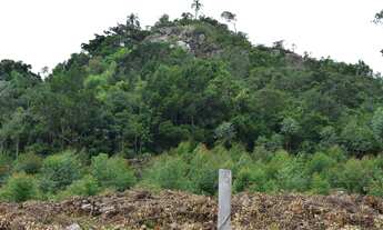 Imagem 4: Área de Terra com 2 Dormitorio(s) localizado(a) no bairro em Capela de Santana / Rio Gra