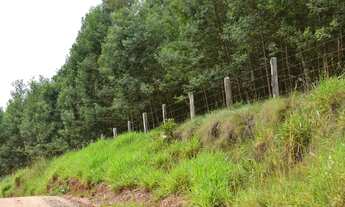 Imagem 5: Área de Terra com 2 Dormitorio(s) localizado(a) no bairro em Capela de Santana / Rio Gra