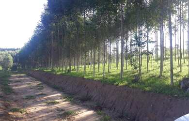 Imagem 3: Área de Terra localizado(a) no bairro em Taquari / Rio Grande do Sul Ref.:10