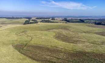 Imagem: 890 HECTARES - 55KM DE PORTO ALEGRE