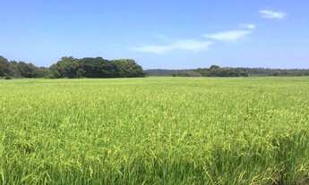 Imagem 2: Fazenda localizado(a) no bairro em Tramandaí / Rio Grande do Sul Ref.:56