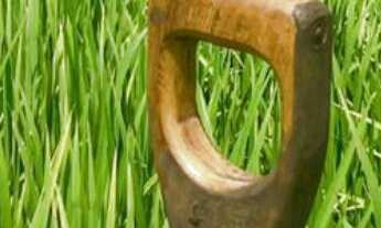 Imagem: Fazenda localizado(a) no bairro em Tramandaí