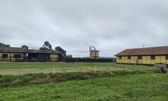 Imagem 3: Fazenda localizado(a) no bairro em Capivari do Sul / Rio Grande do Sul Ref.:66