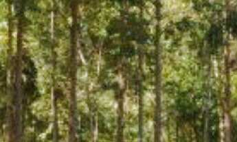 Imagem: Fazenda localizado(a) no bairro em Caçapava