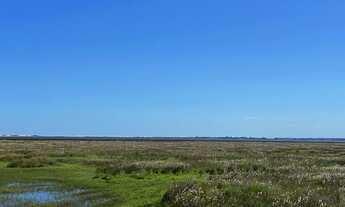 Imagem: Fazenda localizado(a) no bairro em Palmares