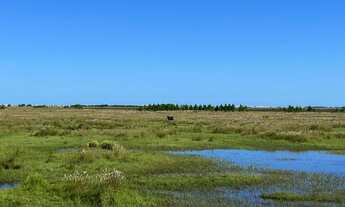 Imagem 2: Fazenda localizado(a) no bairro em Palmares do Sul / Rio Grande do Sul Ref.:74