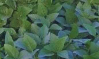 Imagem: Fazenda localizado(a) no bairro em Tramandaí